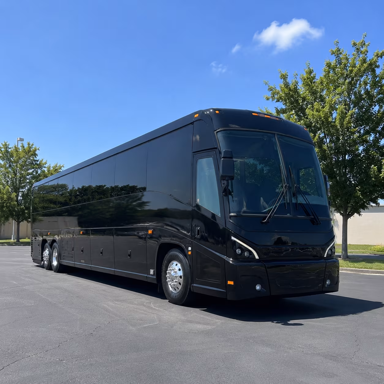 ann arbor and east lansing game day charters from st clair shores