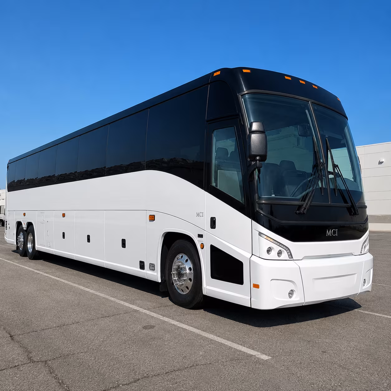 bus rentals for detroit zoo field trips from st clair shores schools